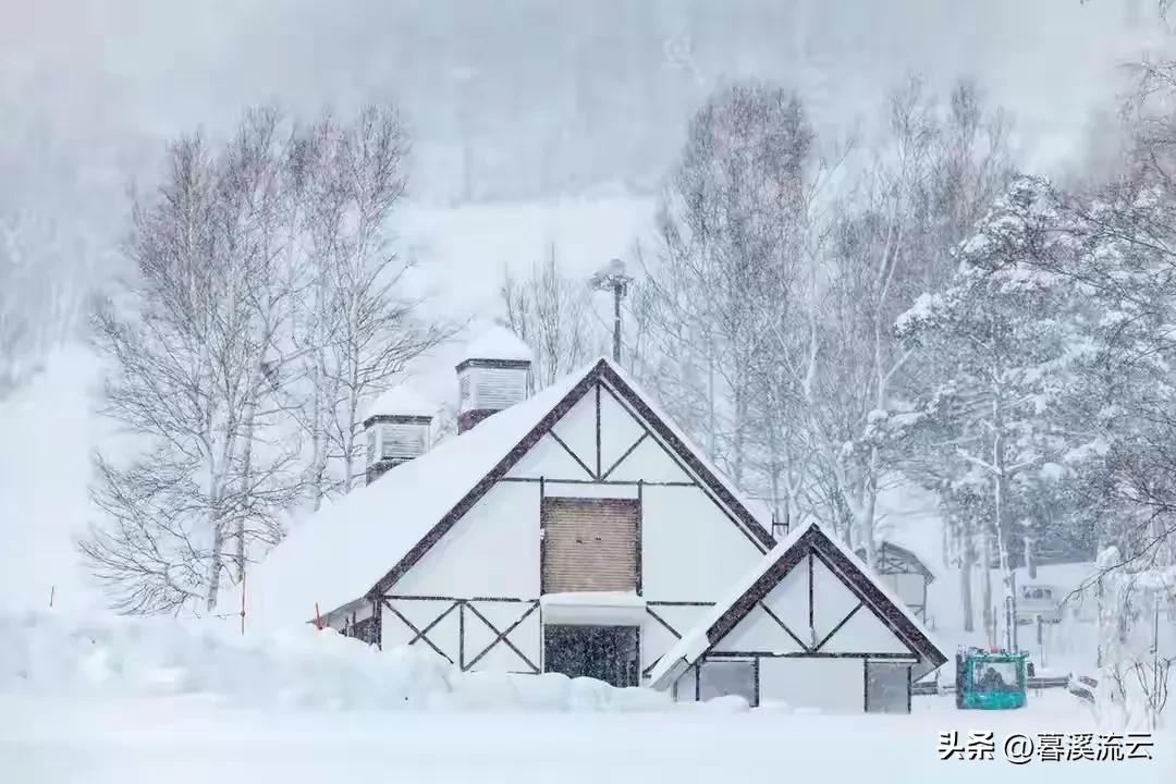 赞美冬雪的诗句10首，雪落无声，美如画卷