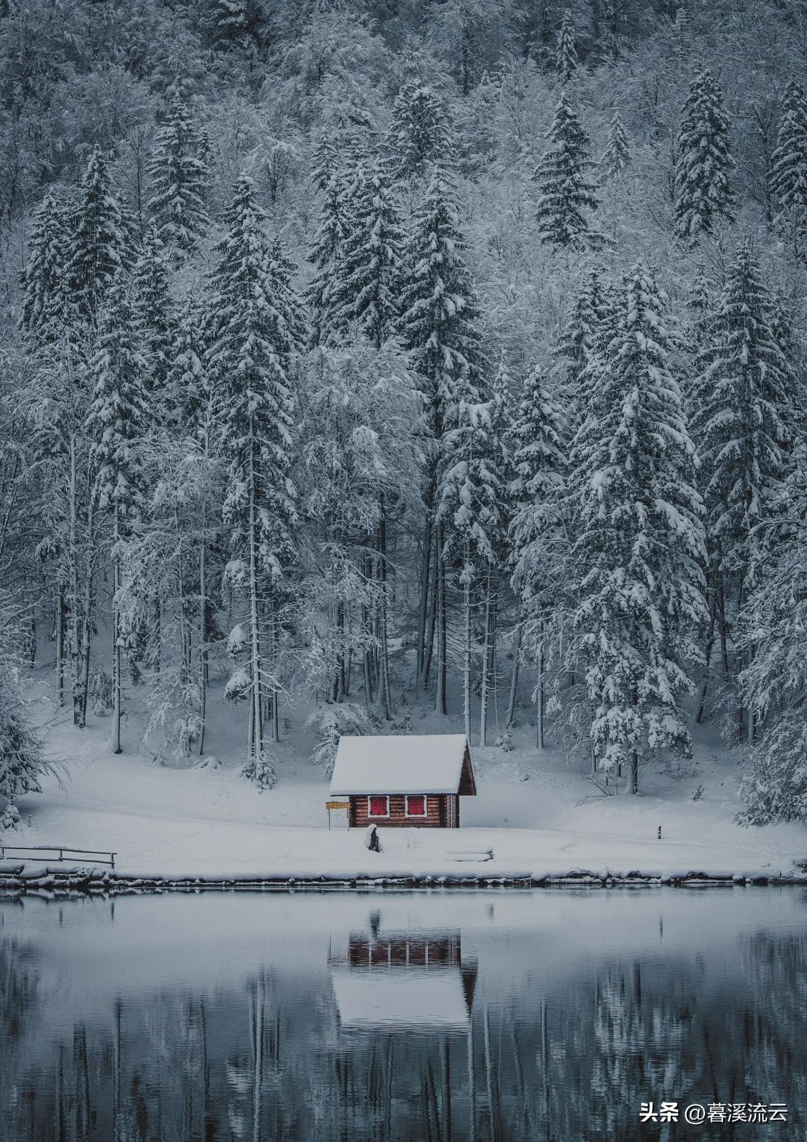 赞美冬雪的诗句10首，雪落无声，美如画卷