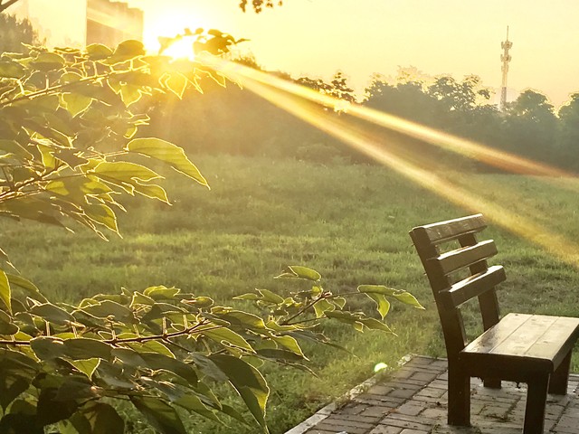 关于幸福的优美句子15句，道尽幸福的滋味