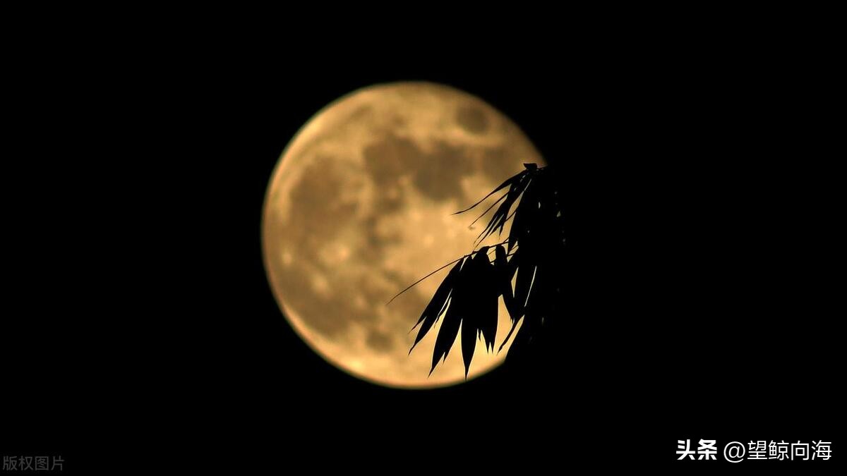 中秋古风唯美句子31句，愿得年年，常见中秋月!