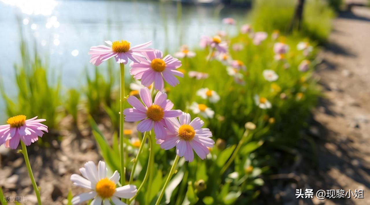 描写夏天的句子22句，清新了整个夏天