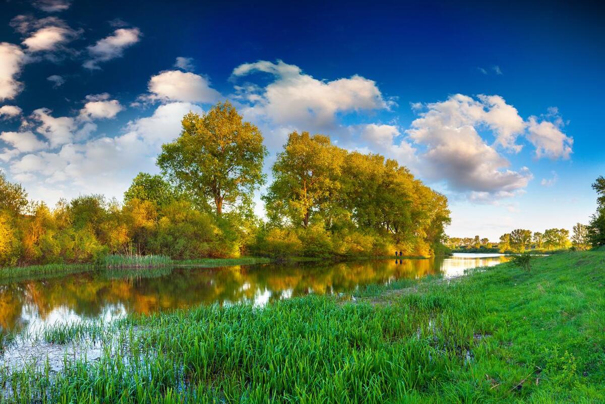 仰望星空的唯美句子14句，星空是大自然最浪漫的奇迹