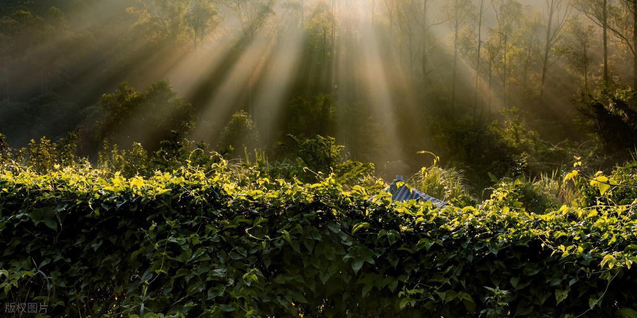 人生哲理经典短句11句，启迪你的人生之路!