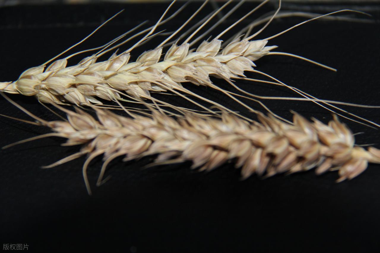 人生哲理经典短句11句，启迪你的人生之路!