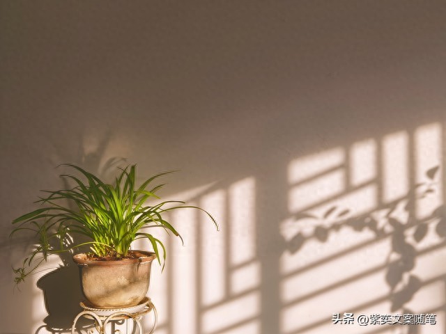 关于时光的唯美句子15句，时光清浅处，一步一安然