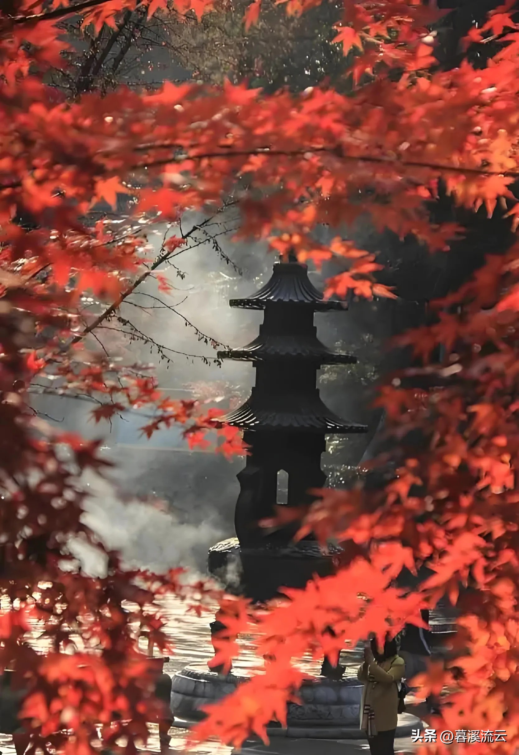 深秋唯美的诗句10首，秋意绵绵，岁月静美