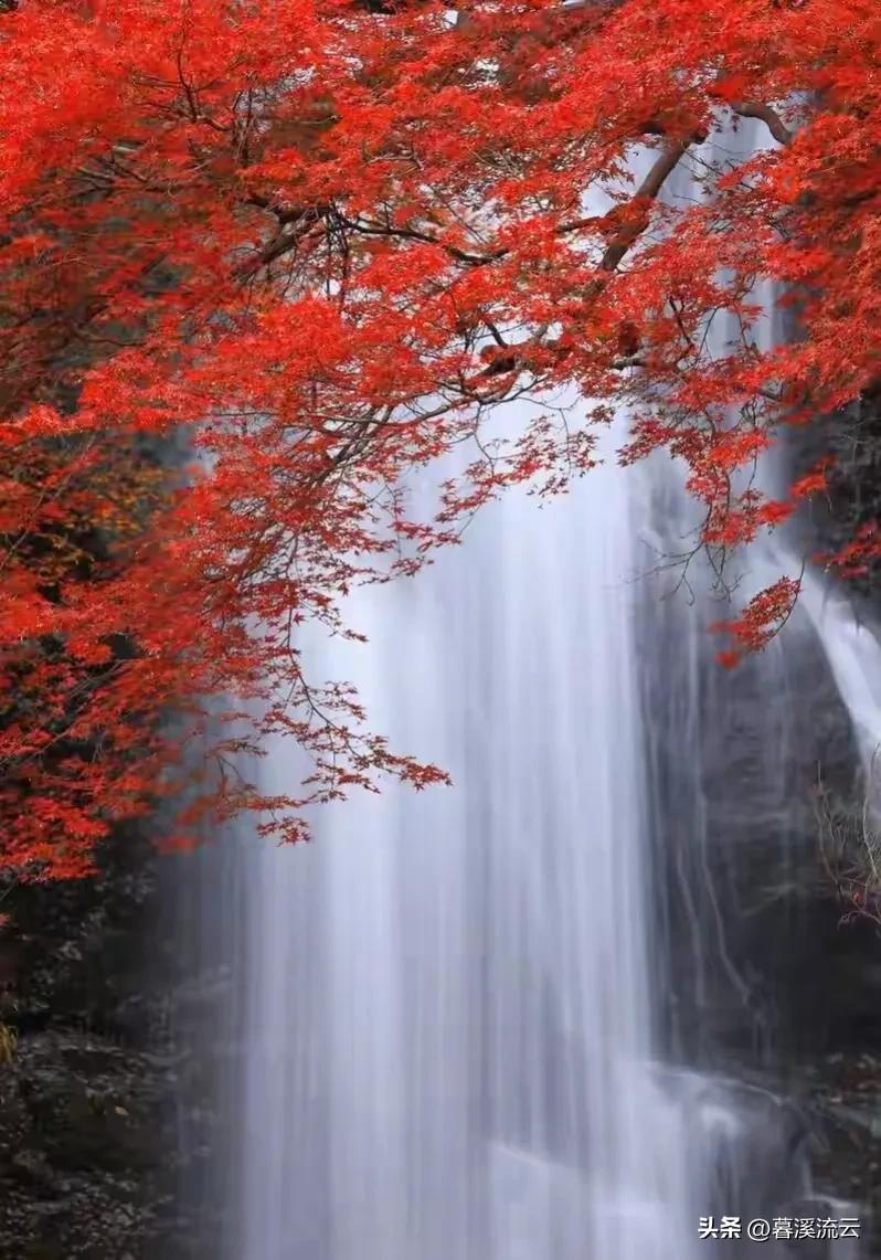 深秋唯美的诗句10首，秋意绵绵，岁月静美