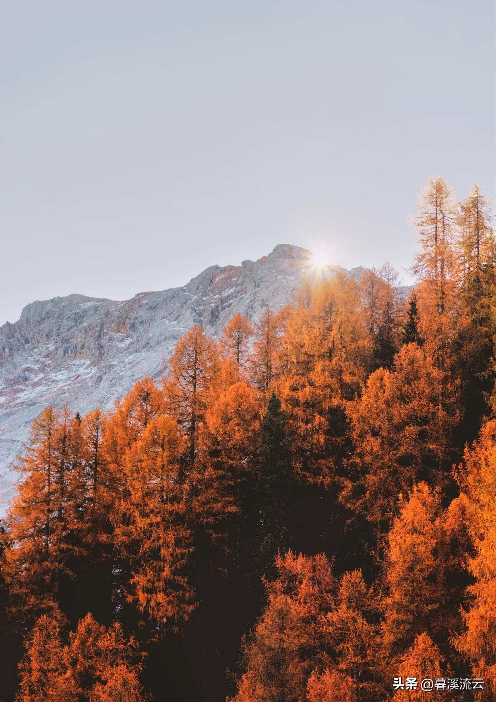 深秋唯美的诗句10首，秋意绵绵，岁月静美