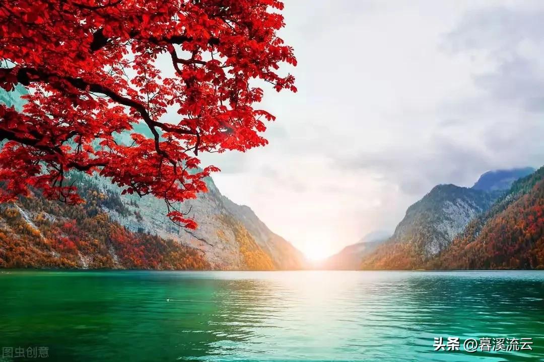 深秋唯美的诗句10首，秋意绵绵，岁月静美