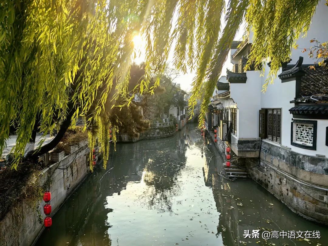 柳树的诗句10首，感受诗意之美!