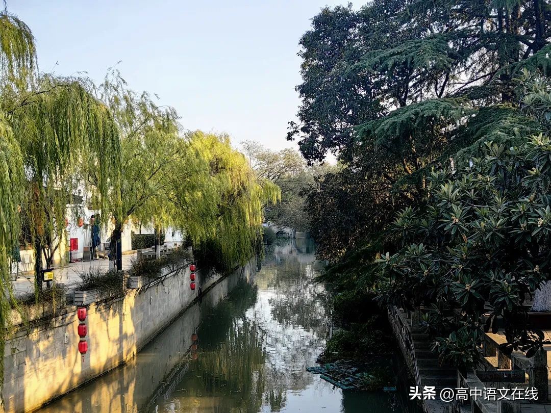 柳树的诗句10首，感受诗意之美!