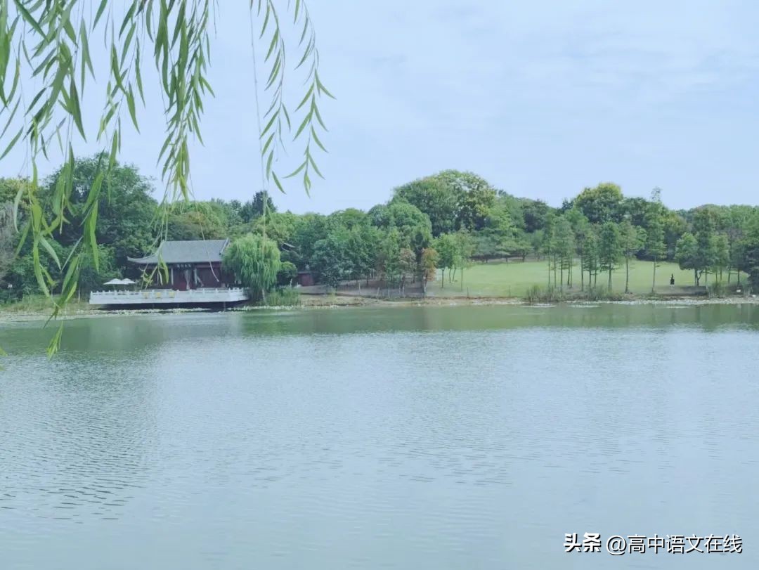 柳树的诗句10首，感受诗意之美!