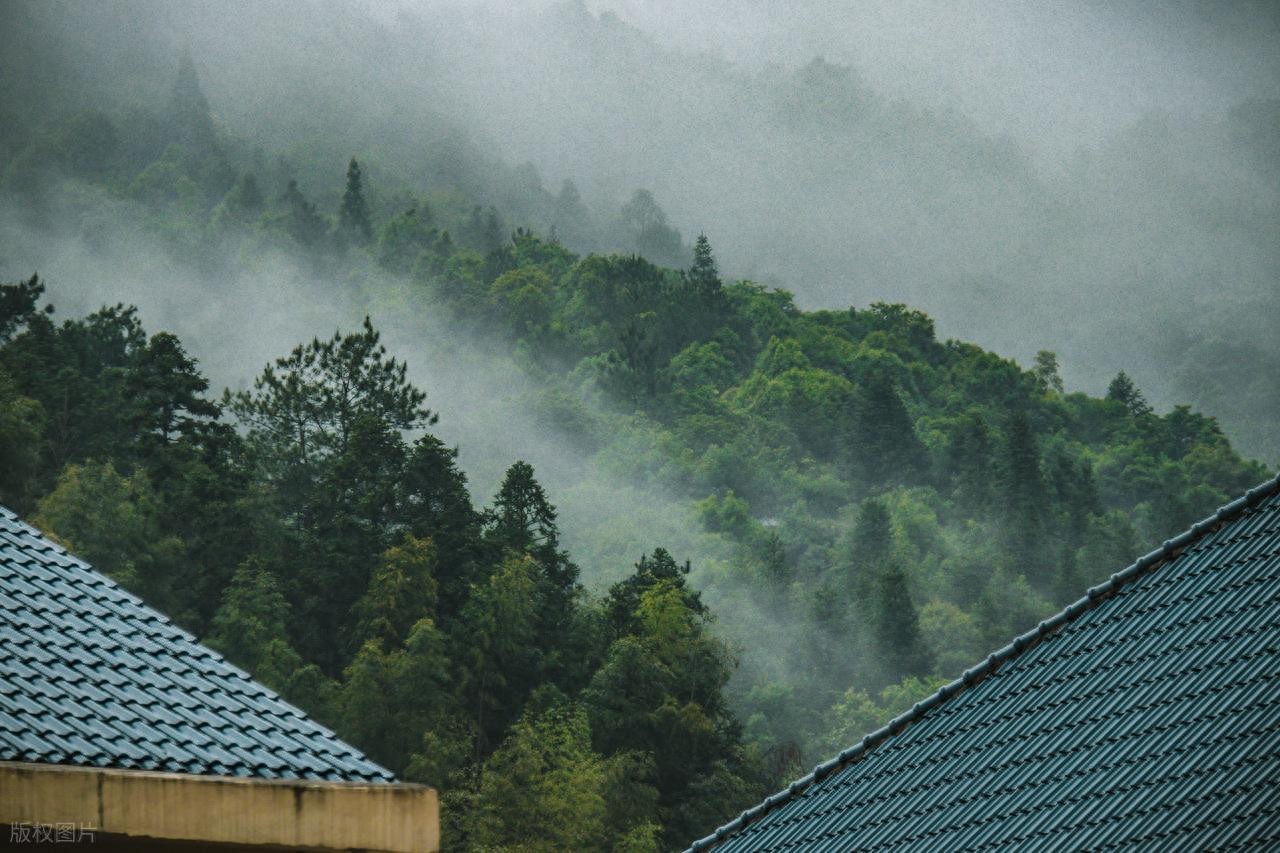 赞美秋天景色的诗句10句，每一句都治愈人心