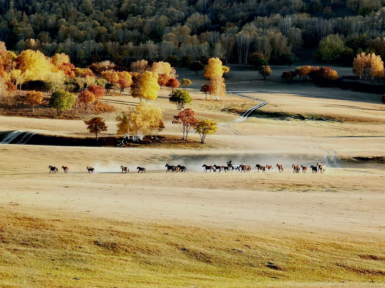 赞美秋天景色的诗句10句，每一句都治愈人心