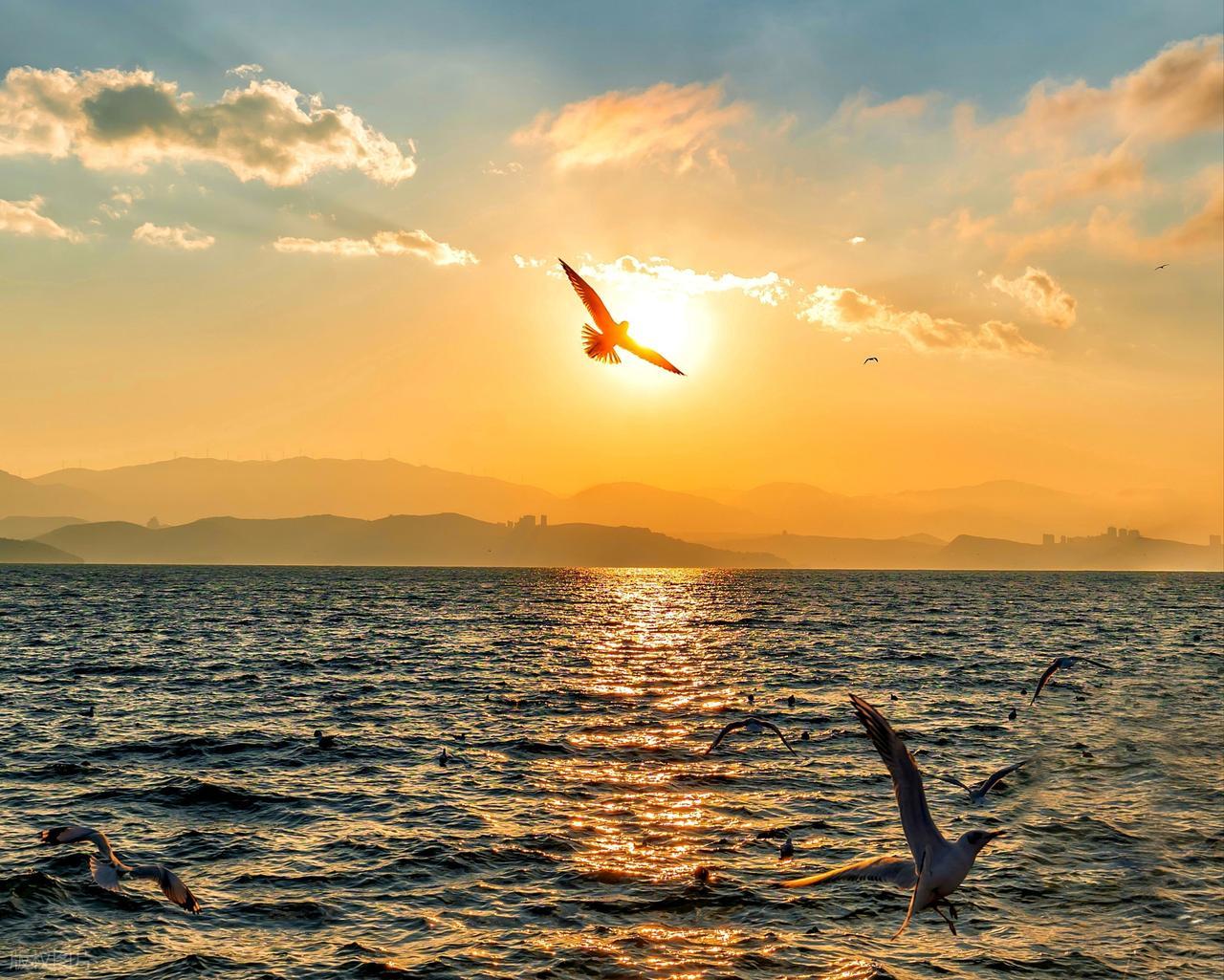 赞美秋天景色的诗句10句，每一句都治愈人心