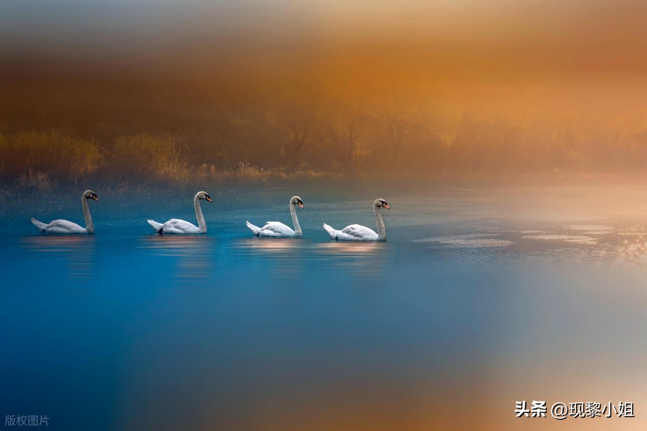 积极向上的正能量句子22句，打动人心，清醒治愈！