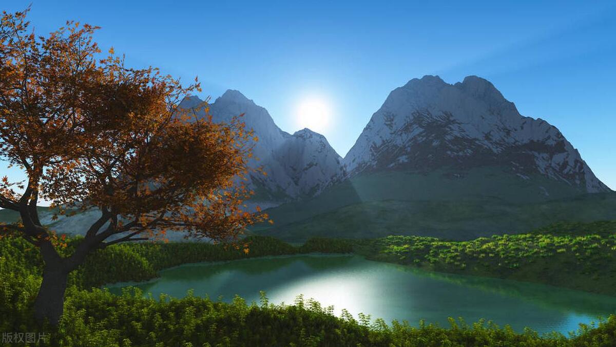 家的温暖唯美句子13句，带你感受家的温暖!