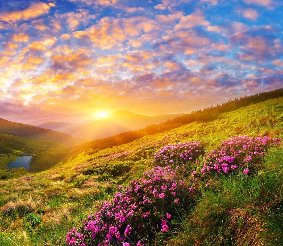 做人格言霸气简短21句，每日一读，豁达一生