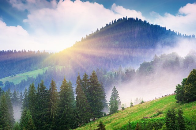 珍惜友谊的简短句子10句，送给你最好的朋友