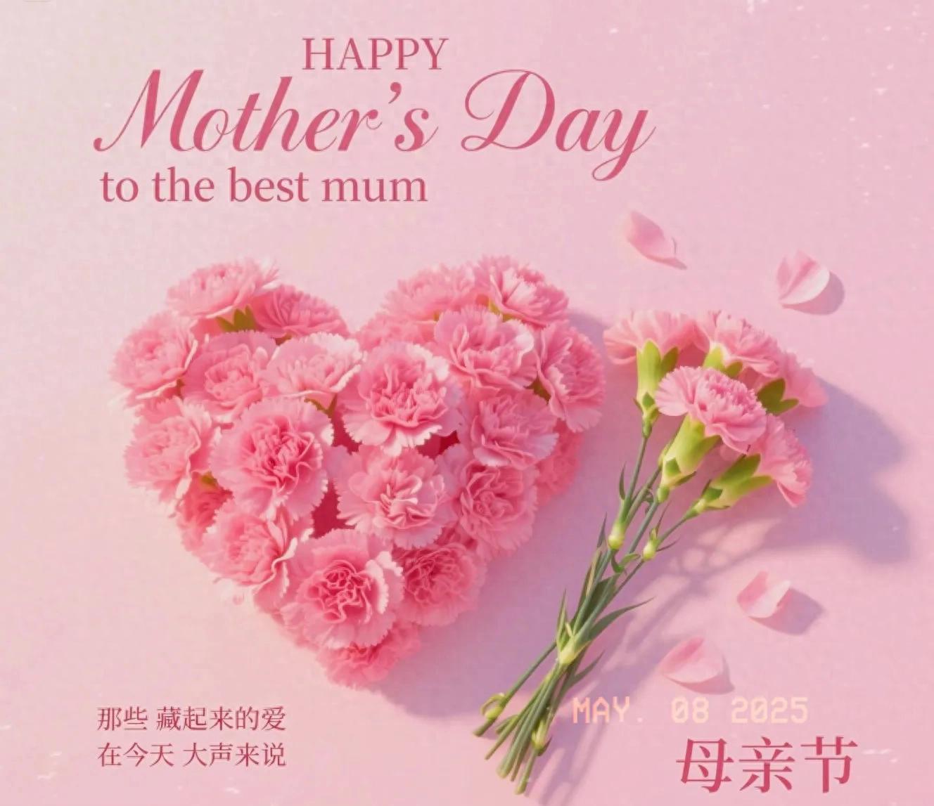 感恩母亲的优美句子50句，献给我最敬爱的母亲