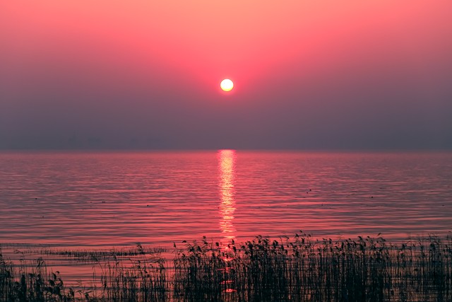 做人做事的句子30句，坦荡做事清白做人