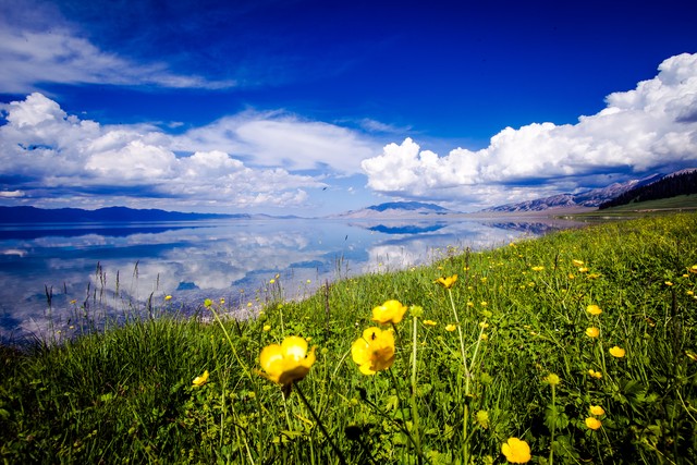 做人做事的句子30句，坦荡做事清白做人