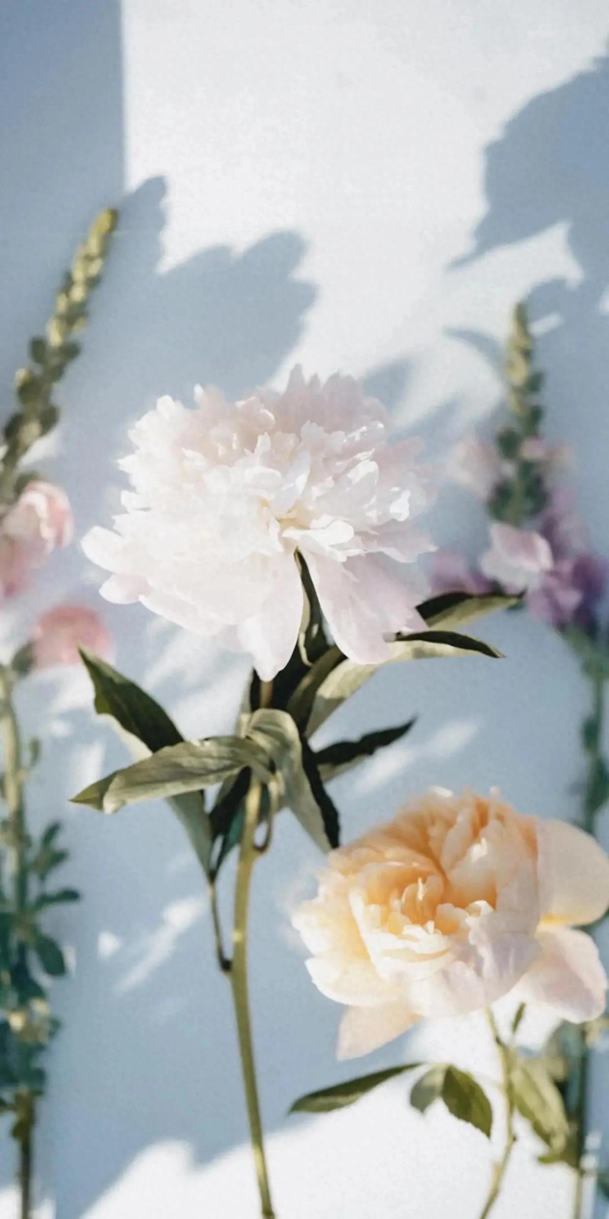 关于生活的句子10句，句句感动人心