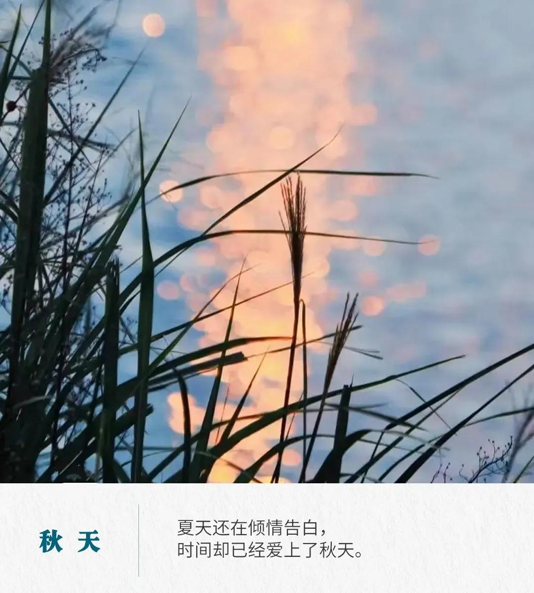 秋天的句子唯美短句30句，句句唯美又浪漫