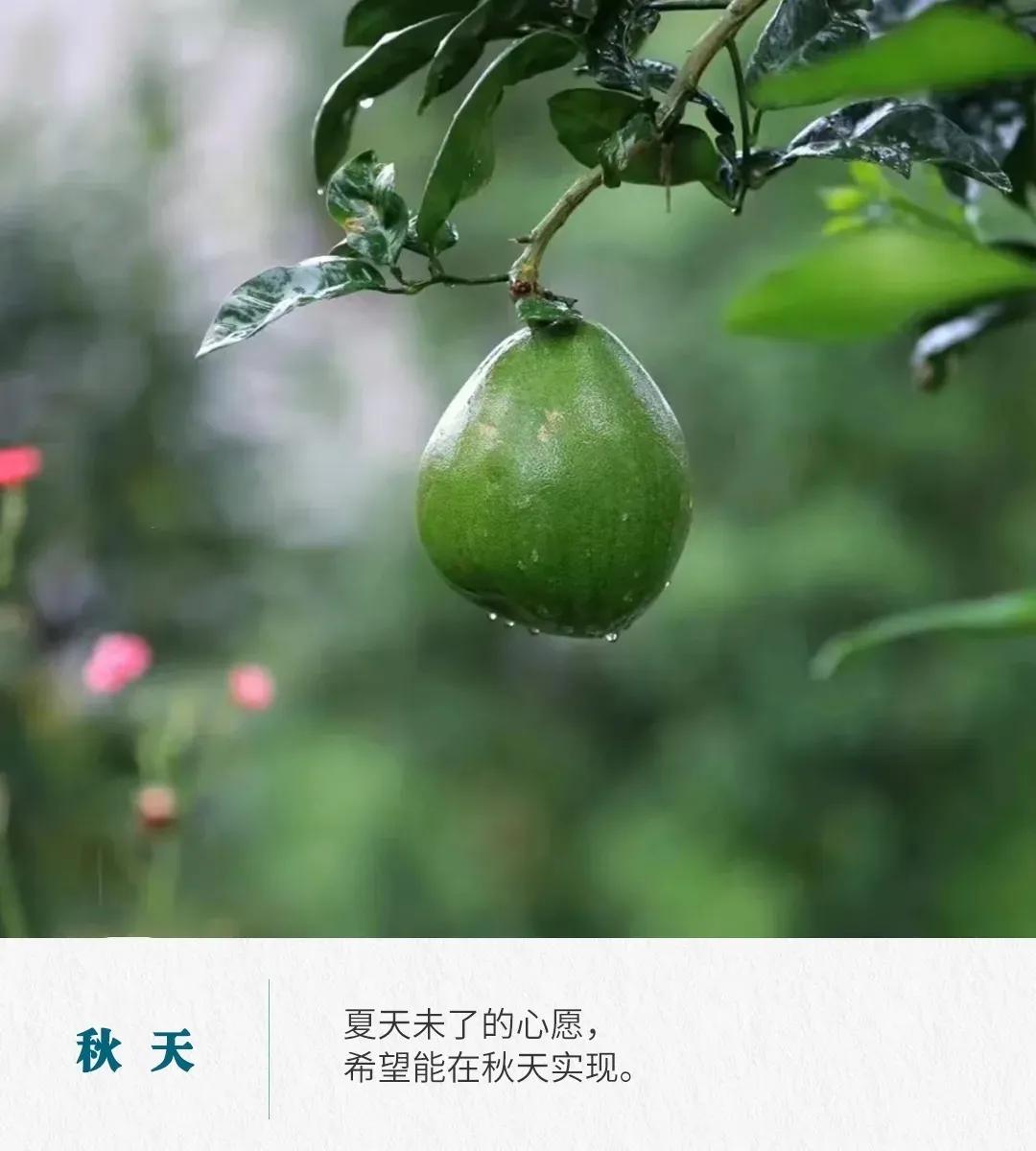 秋天的句子唯美短句30句，句句唯美又浪漫