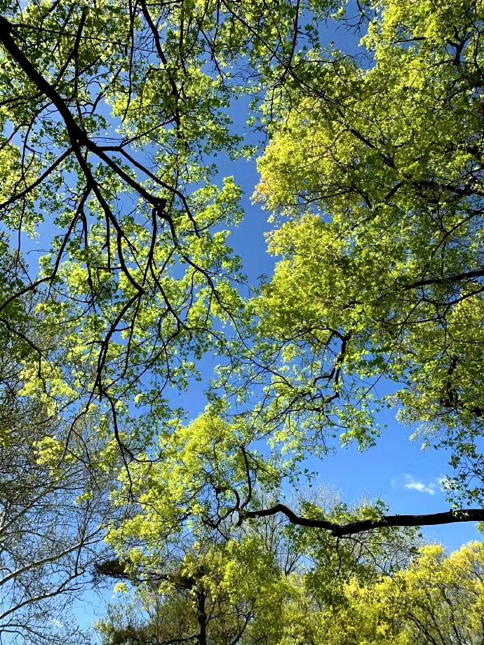 关于夏天的优美句子20句，句句都是夏天的气息