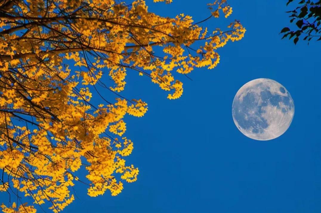描写中秋的优美诗句6首，在古诗文中品鉴中秋之美