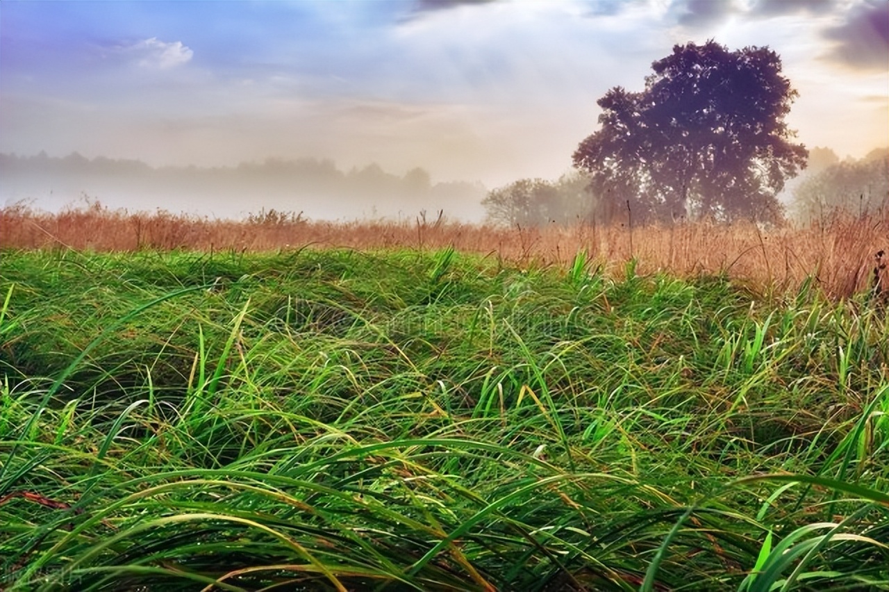 幸福的优美句子19句，助你找到生活的美好