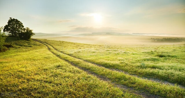 幸福的优美句子19句，助你找到生活的美好