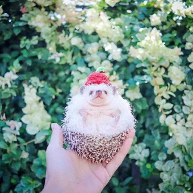 人生的经典句子21句，句句经典受用一生