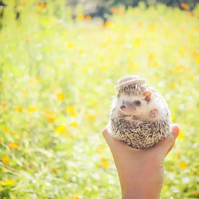 人生的经典句子21句，句句经典受用一生