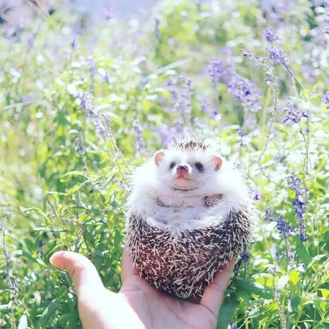 人生的经典句子21句，句句经典受用一生