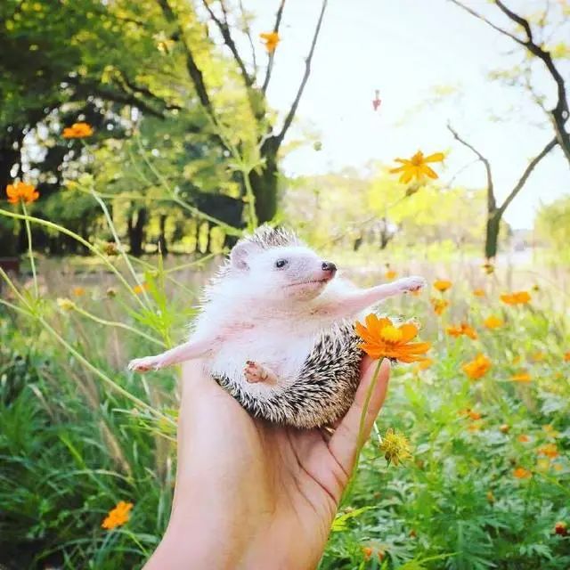 人生的经典句子21句，句句经典受用一生