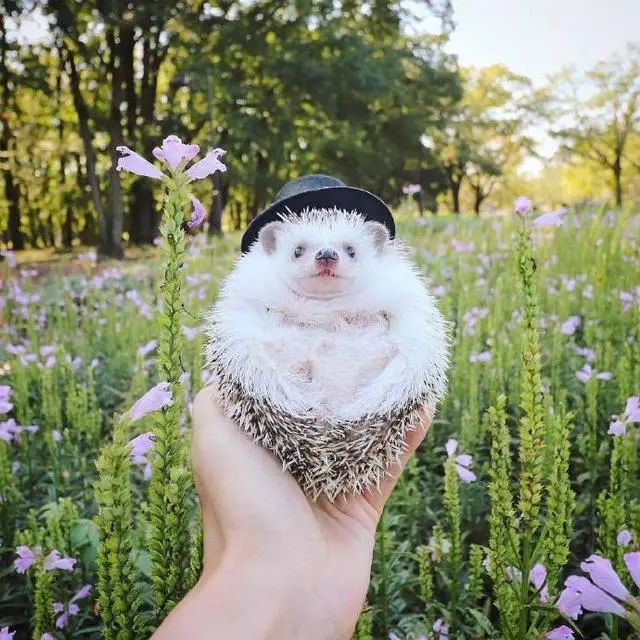 人生的经典句子21句，句句经典受用一生