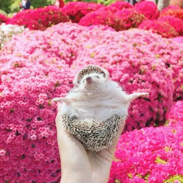 人生的经典句子21句，句句经典受用一生