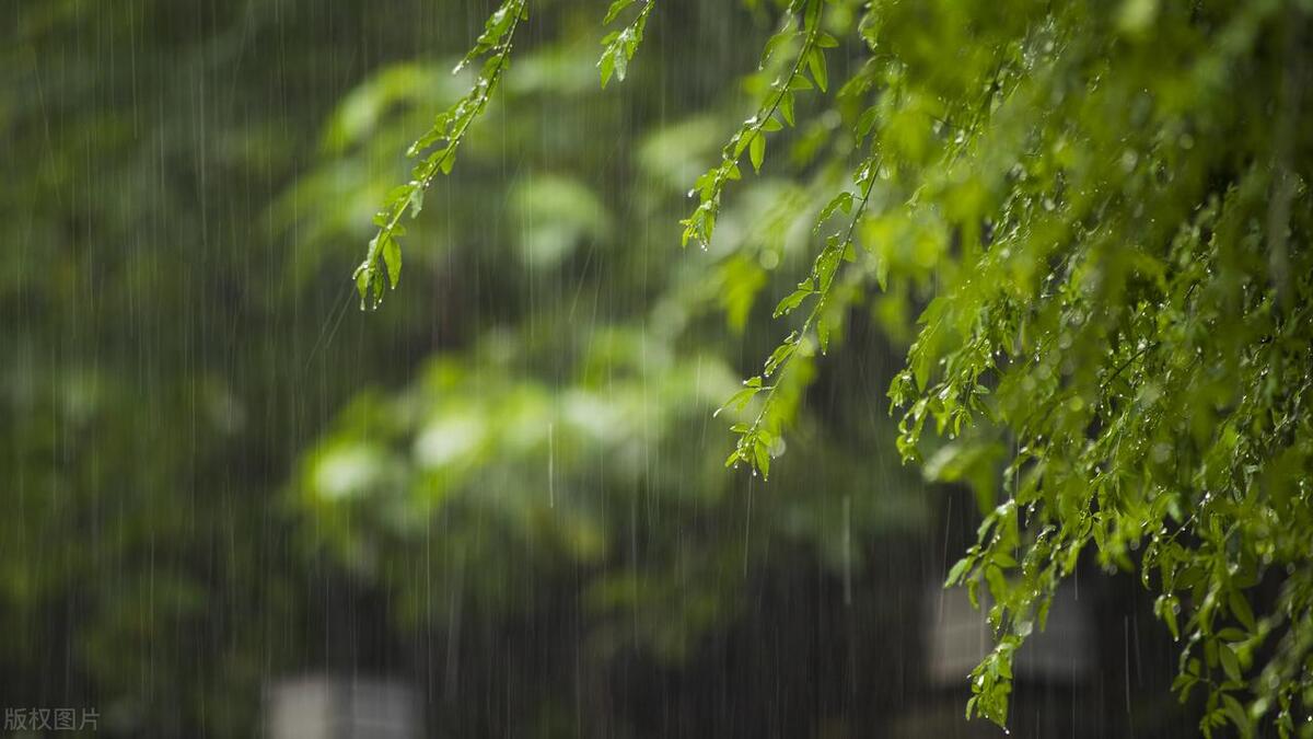 春雨的唯美句子19句，写出最美的春天