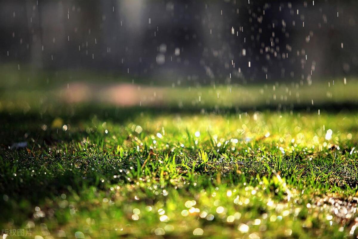 春雨的唯美句子19句，写出最美的春天