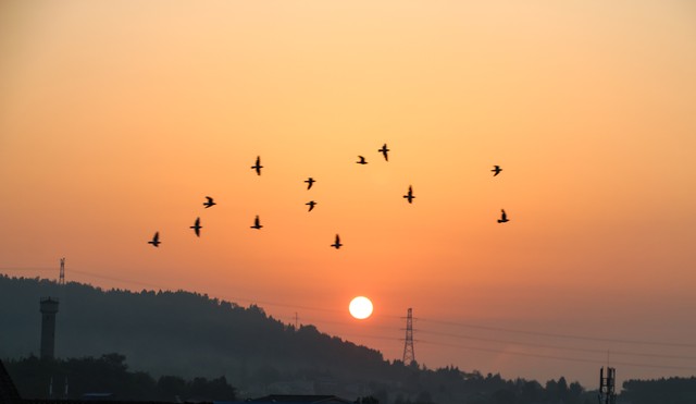 思乡之情的古诗10首，读完令人潸然泪下