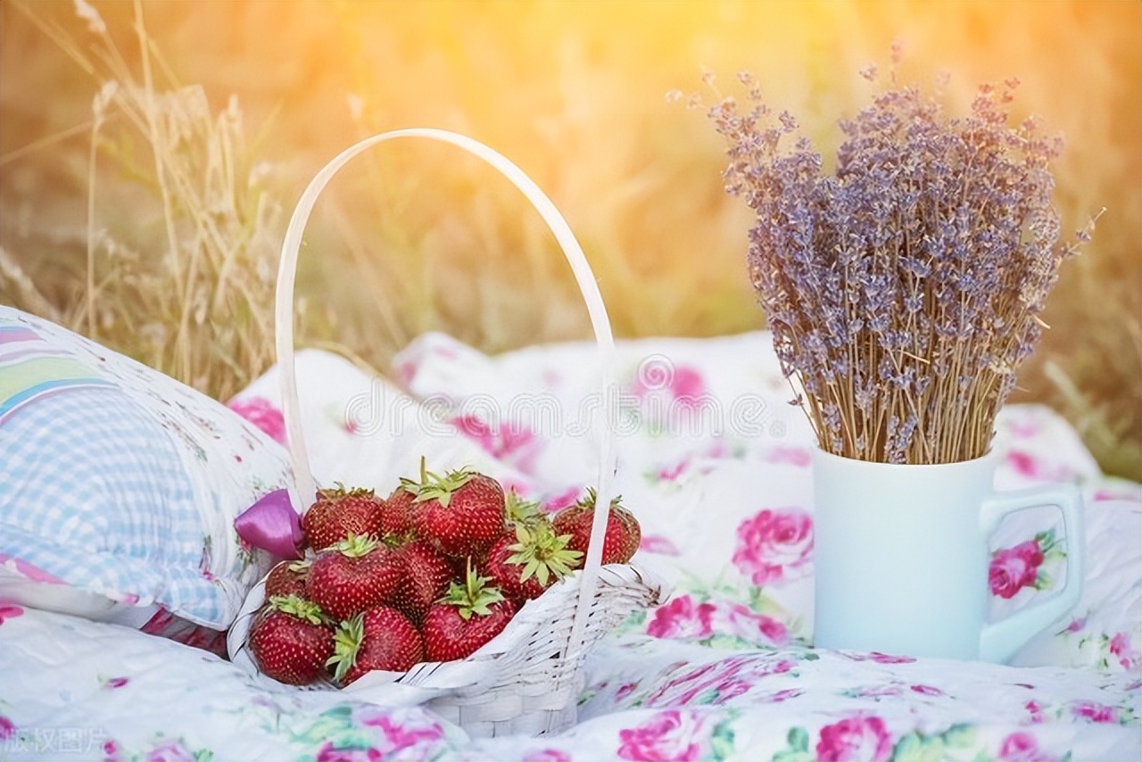 自己的句子经典语录21句，积极向上，让你终生受益