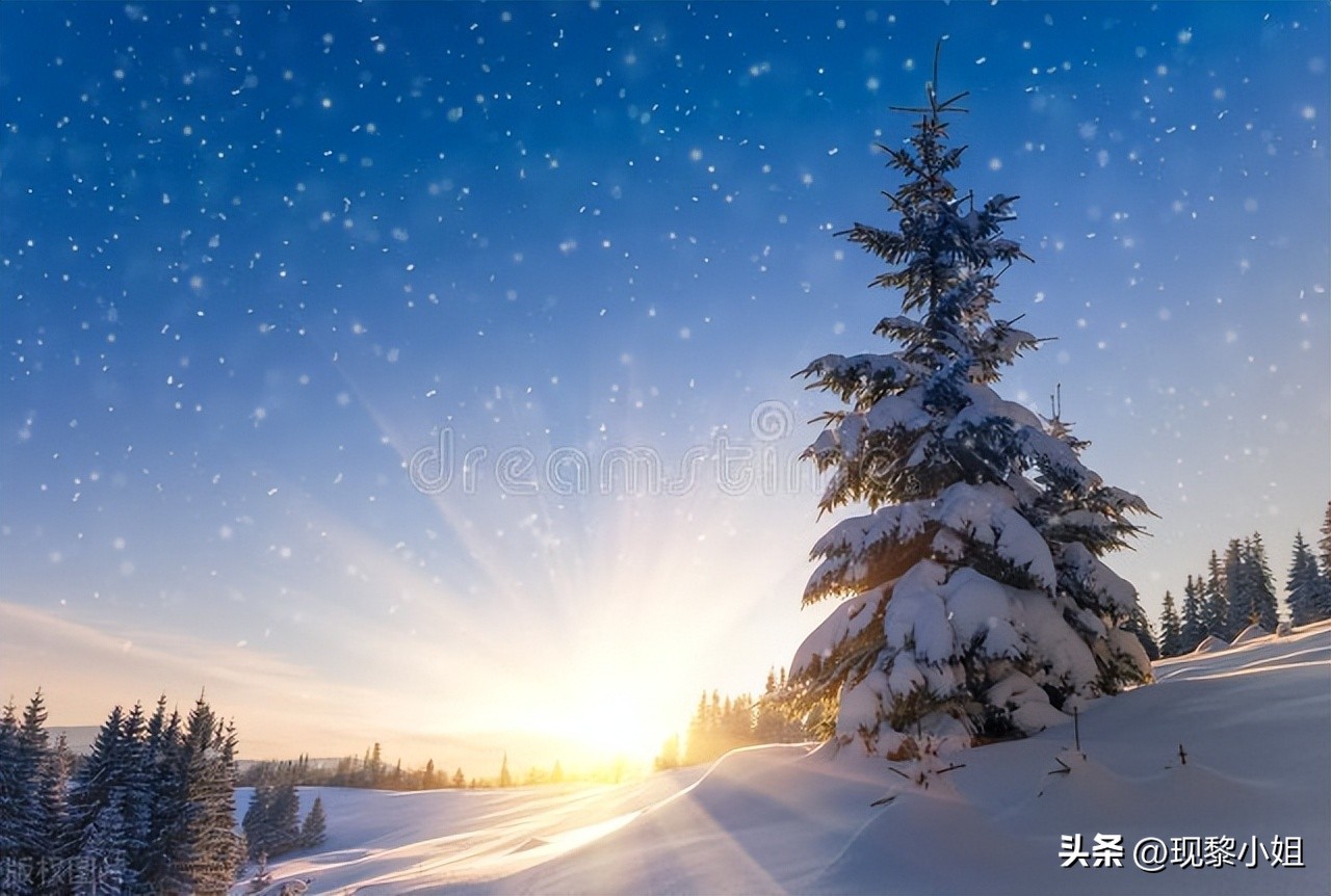 关于雪的唯美句子30句，惊艳了整个冬天