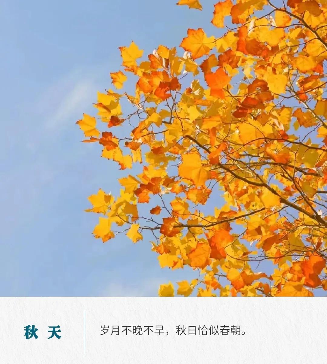 描写秋天的短句50句，解锁秋天的美好