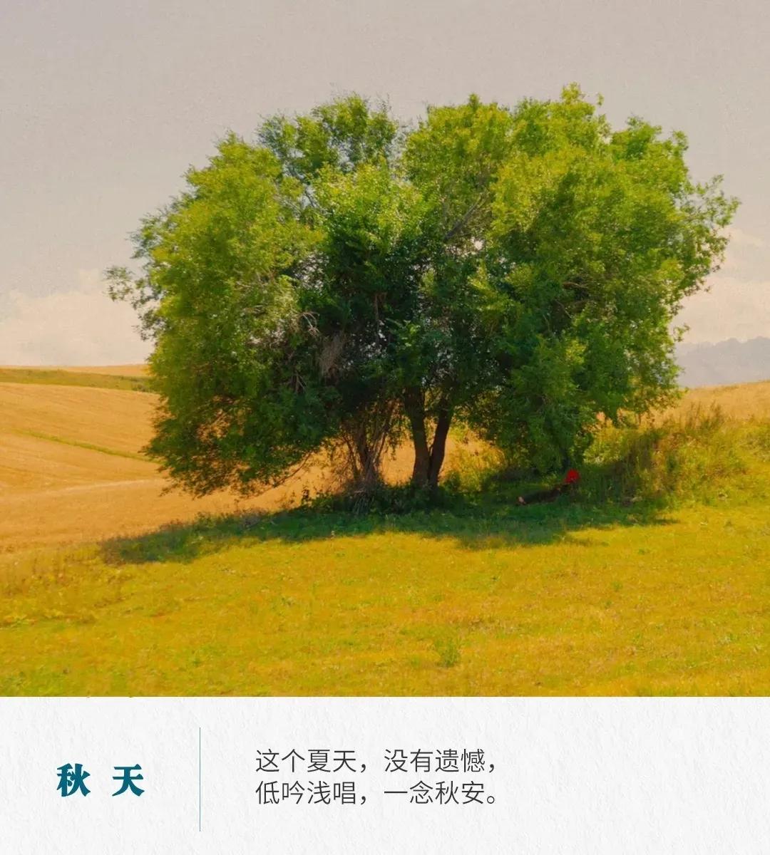 描写秋天的短句50句，解锁秋天的美好