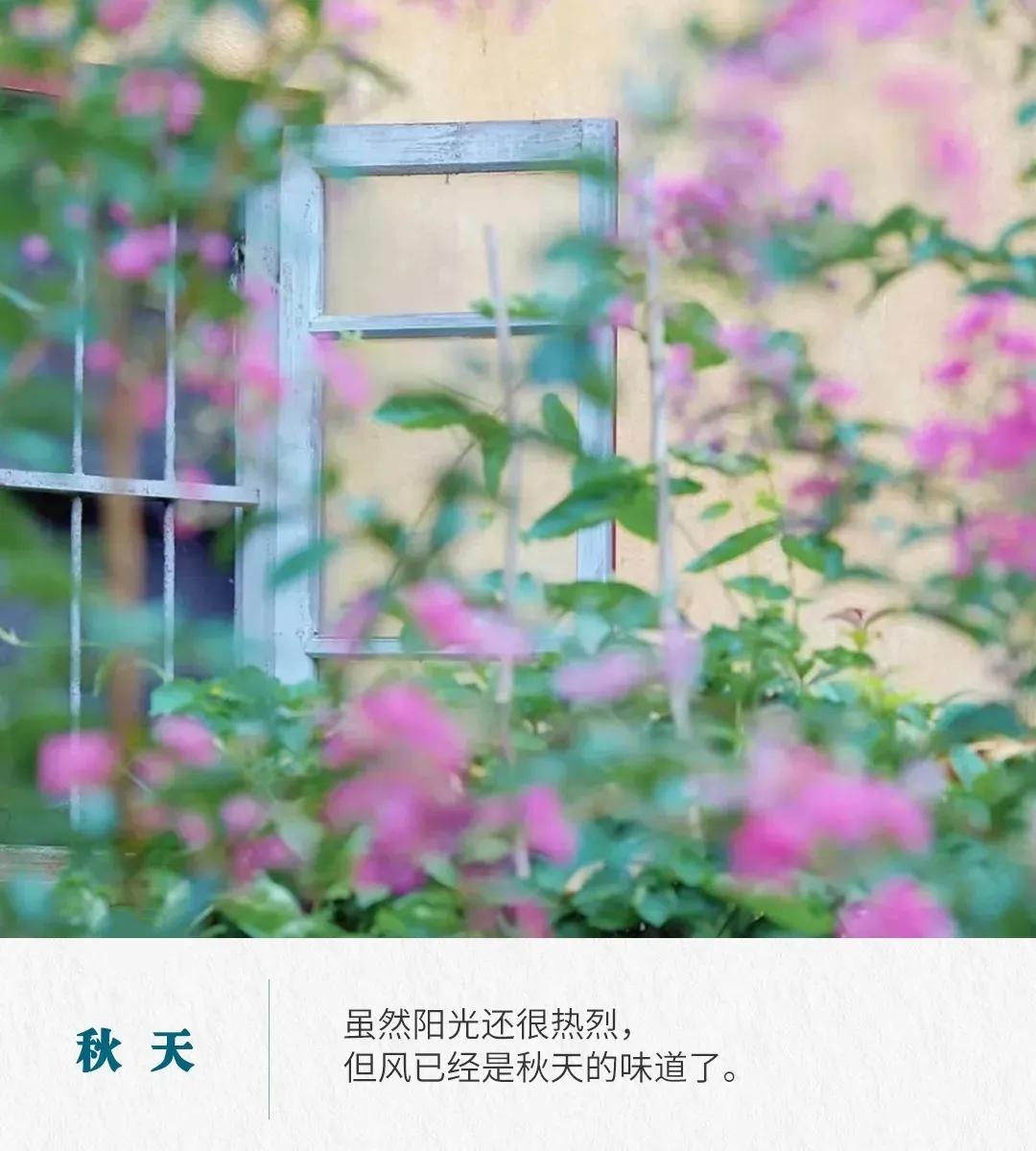 描写秋天的短句50句，解锁秋天的美好