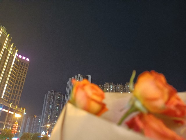 生命的优美句子20句，生命太短，请微笑前行