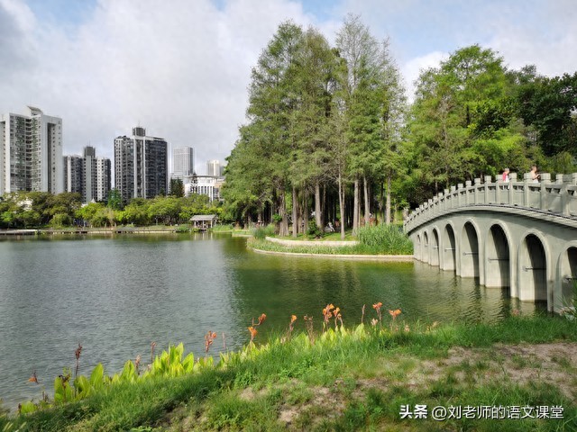 我的梦作文小学三年级习作汇总3篇（我的梦想）