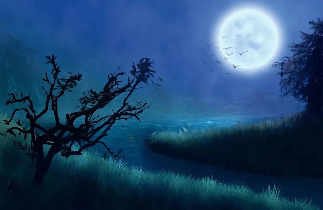 形容月亮很美的诗句25首，美到让古人都醉了